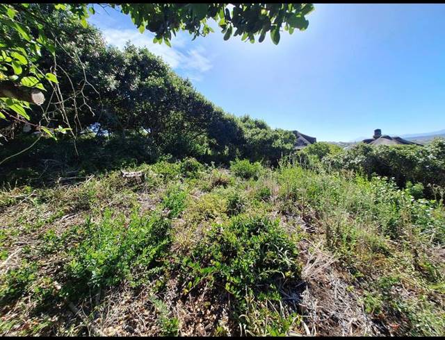 LAND FOR SALE IN BERGSIG